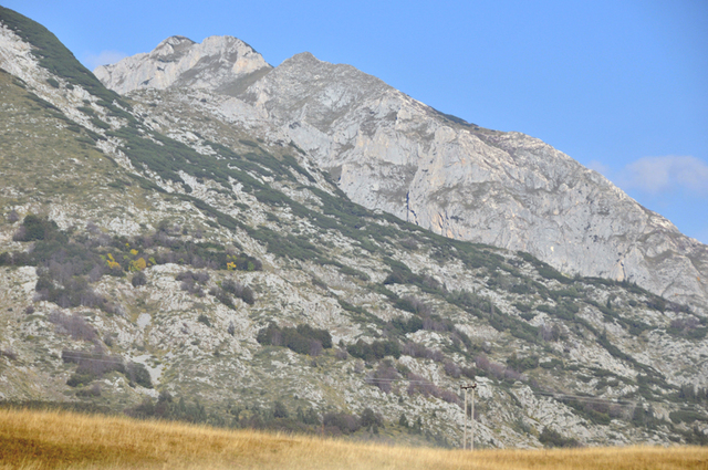 Zabljak  40 