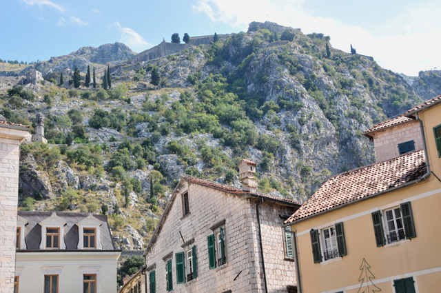 Kotor  43 