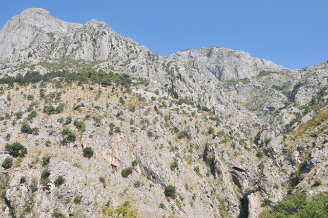 Kotor  49 