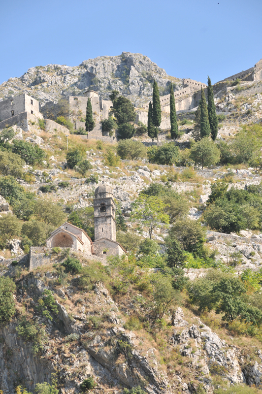Kotor  51 