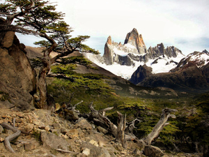 Fitz Roy, Argentyna