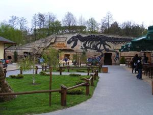 Park dinozaurów 05