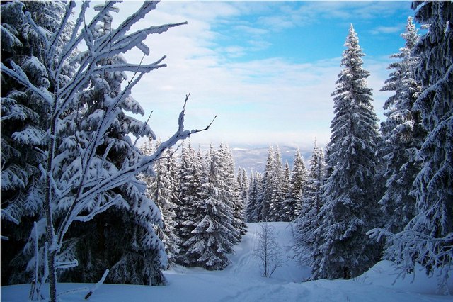 Pilsko, Beskid Żywiecki2