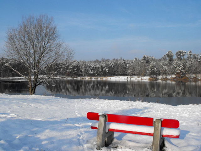 listopadowa zima 2010