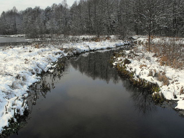 listopadowa zima 2010
