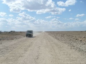 Droga w Serengeti