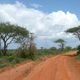 Droga w Tsavo West