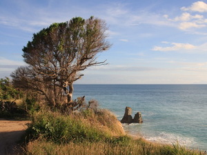 Cupecoy Bay