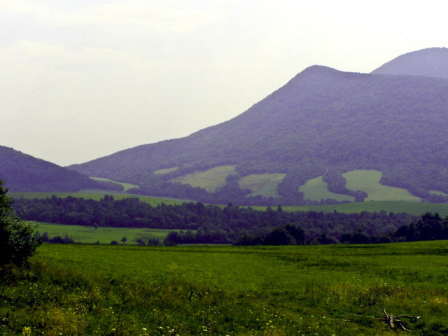 P8270209