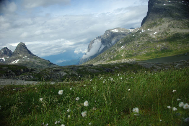 Norwegia Trollstigen