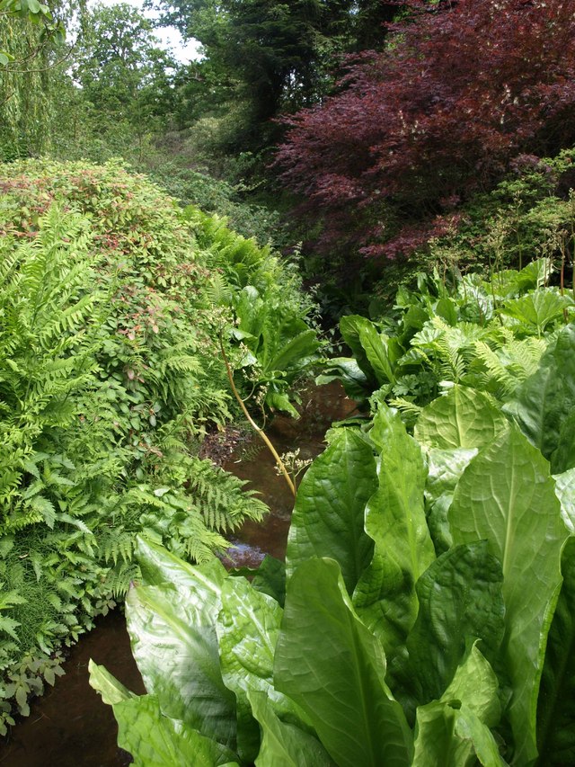 24 the savill garden the royal landscape 