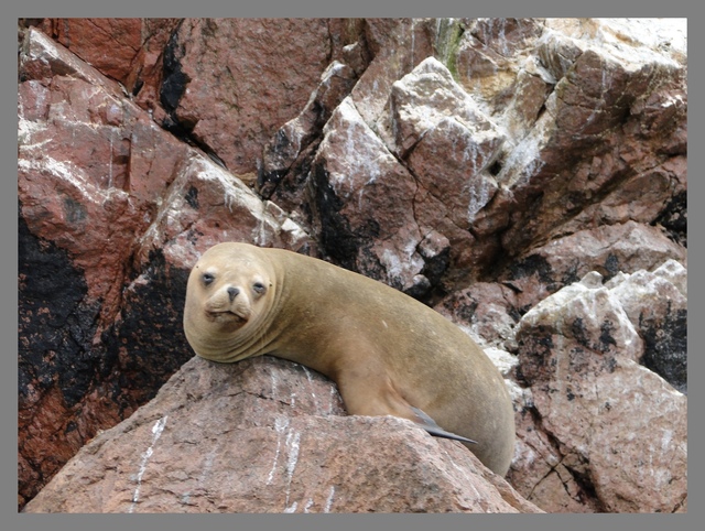 Image022
