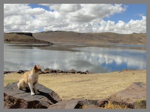 Półwysep Sillustani