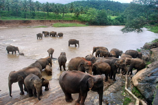 Sri Lanka