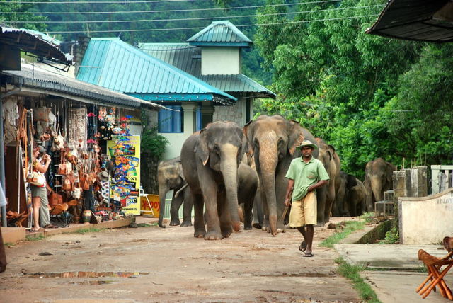 Sri Lanka