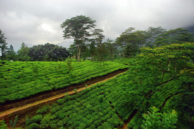 Sri Lanka