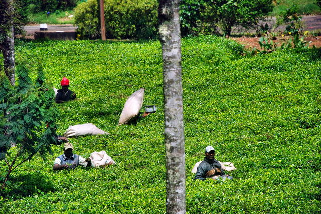 Sri Lanka
