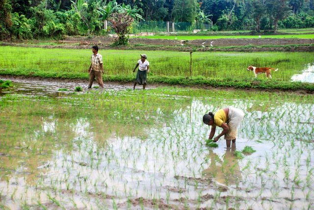 Sri Lanka