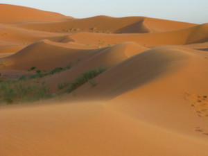 merzouga