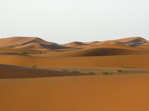 merzouga