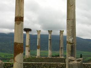 volubilis