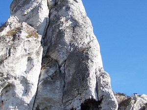 Skałki wapienne na szlaku między Mirowem a Bobolicami