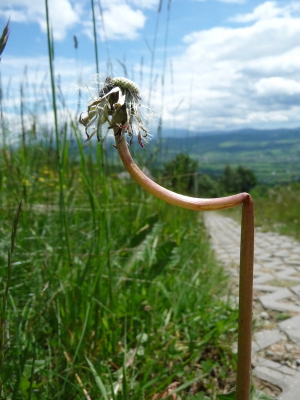Beskid żywiecki