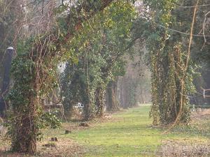 Cmentarz żydowski w Bielsku-Białej