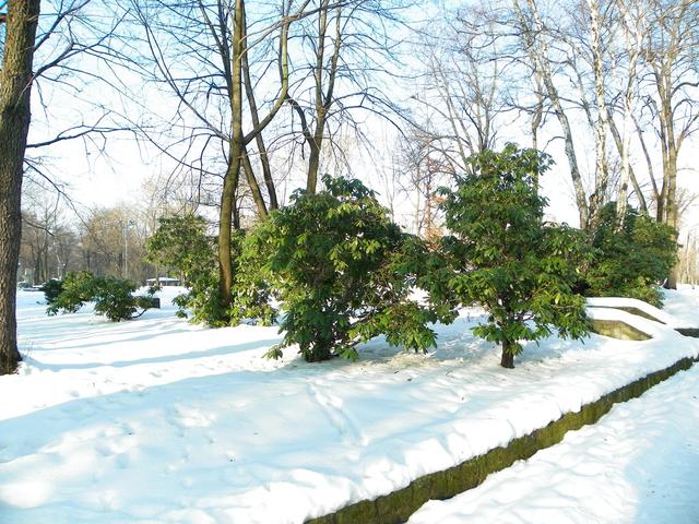 Katowice, Park im. Gen. Kościuszki, 