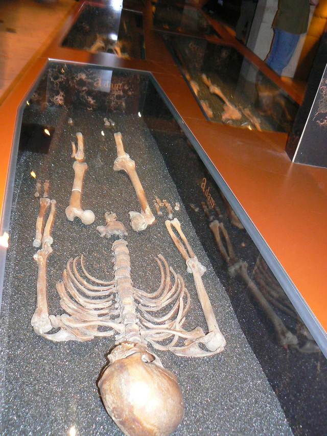 Sztokholm Muzeum galeonu Vasa