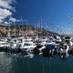 Port w Funchal, Madera