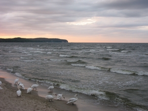 plaża w Sopocie