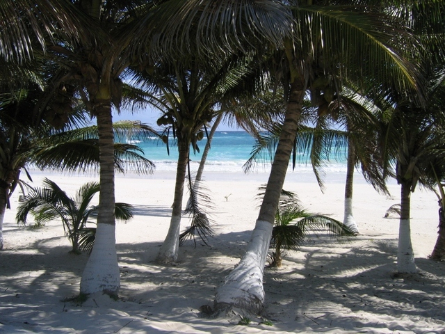 tulum  morze karaibskie  