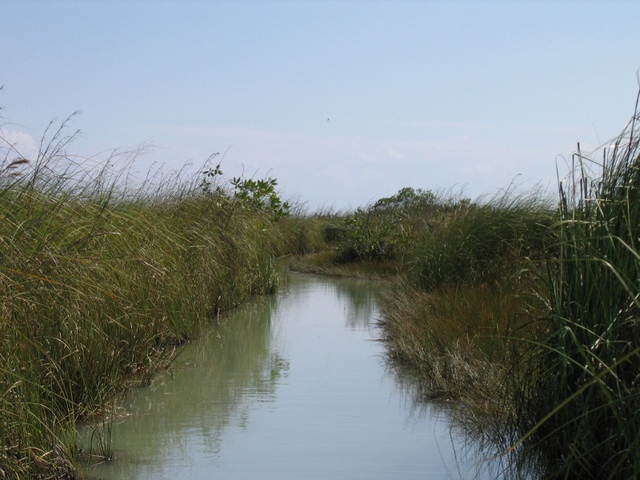 rezerwat sian kaan  kanal 