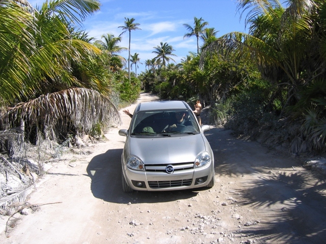 punta allen  - droga