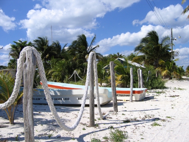 punta allen  lodzie