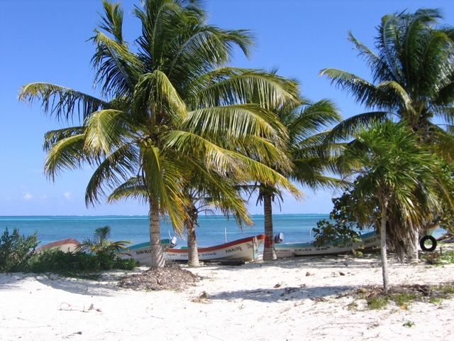 punta allen  wybrzeze