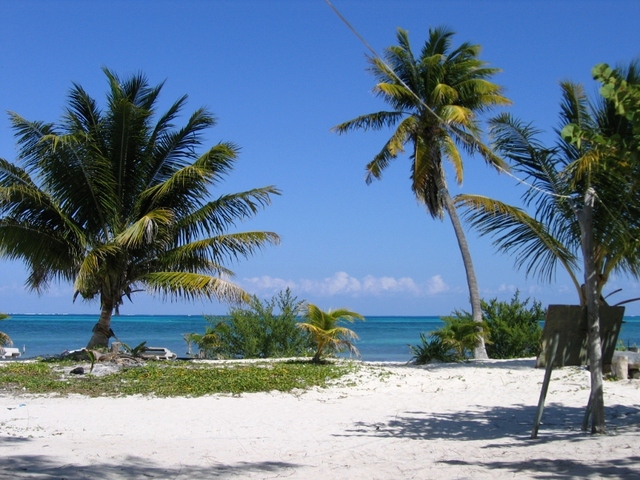 punta allen  wybrzeze 