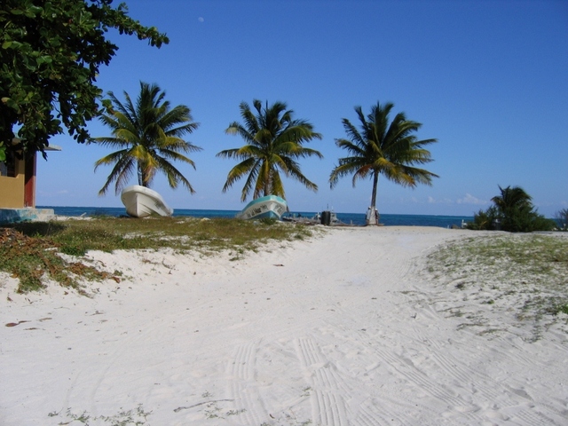 punta allen  wybrzeze  