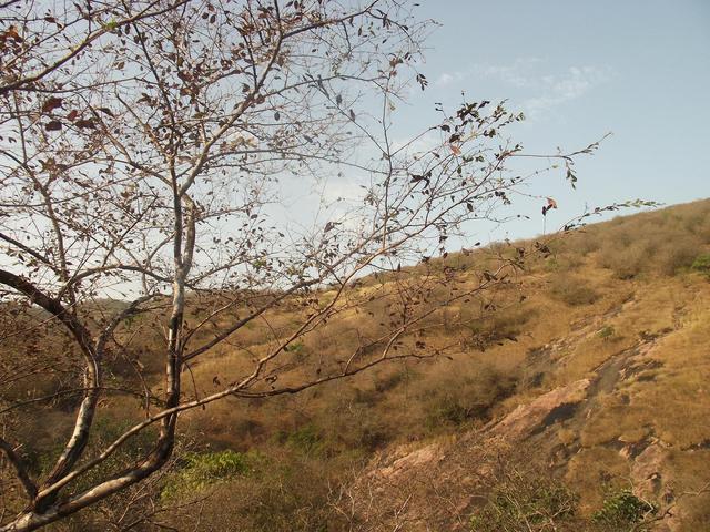 Park Narodowy Ranthambore
