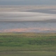 podobno flamingi na jeziorze Manyara