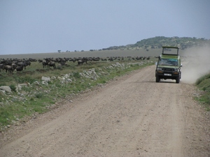 droga przez Serengeti