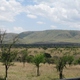 afrykańskie krajobrazy2