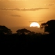 zachód slońca w Amboseli