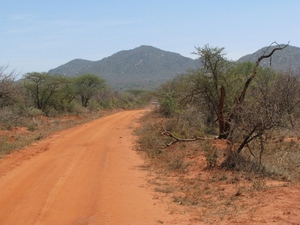 afrykańskie drogi