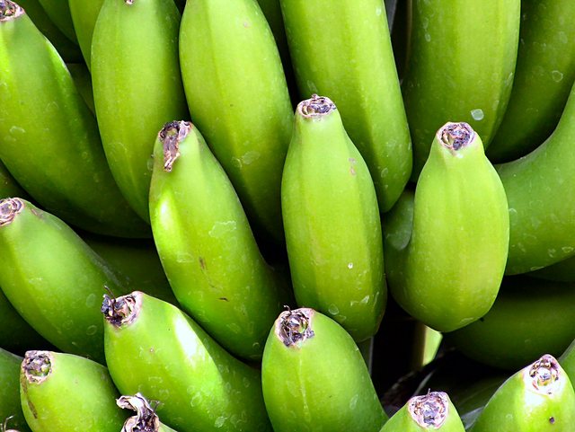 Banany - cena  bananów kanaryjskich,  o innych walorach smakowych jest  wyższa i ogranicza to ich ekspanję na  rynkach  światowych. 