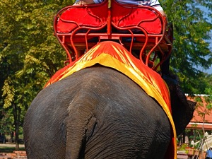 Ayutthaya