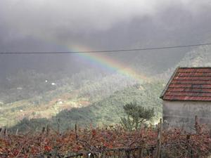 Tęczowa Madera w grudniu