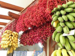 Madera, Mercado dos Lavradores