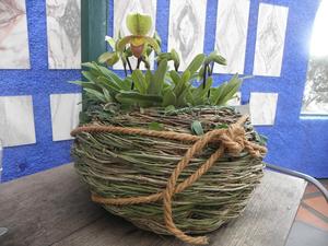 Madera, Ogród Tropikalny